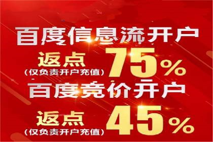 SEM广告投放的精准定位与优化案例